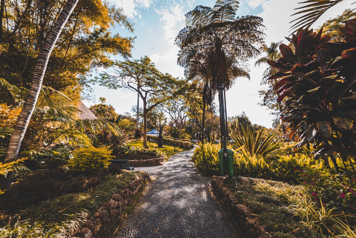 Paisaje tropical colombiano